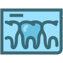Dental,Dental records,Dentist,Dentistry,Tooth,Tooth x ray,X rays